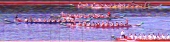 Cílová fotografie - Slapská regata dračí lodí - Slapská přehrda, kemp Rabyně - MIX - 09 - 200m - RD