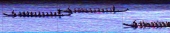 Cílová fotografie - Slapská regata dračí lodí - Slapská přehrda, kemp Rabyně - MIX - 24 - 500m - RB