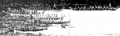 Cílová fotografie - Slapská regata dračí lodí - Slapská přehrda, kemp Rabyně - MIX - 28 - 500m - SFA