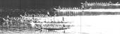 Cílová fotografie - Slapská regata dračí lodí - Slapská přehrda, kemp Rabyně - MIX - 29 - 500m - SFB